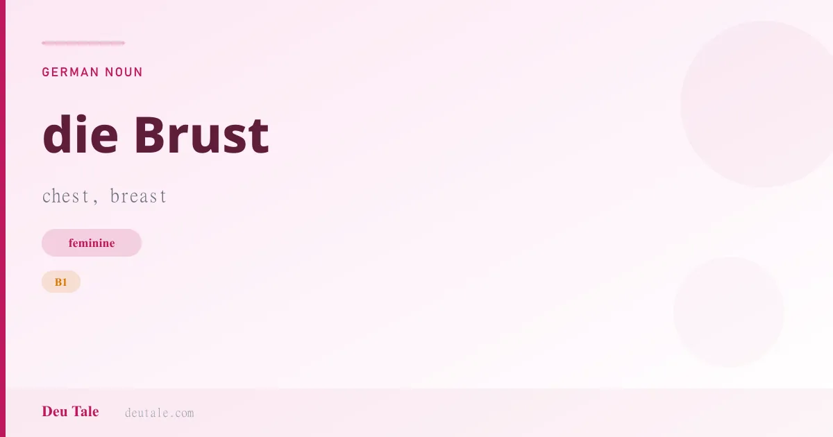 die Brust — German feminine noun meaning chest, breast (B1)