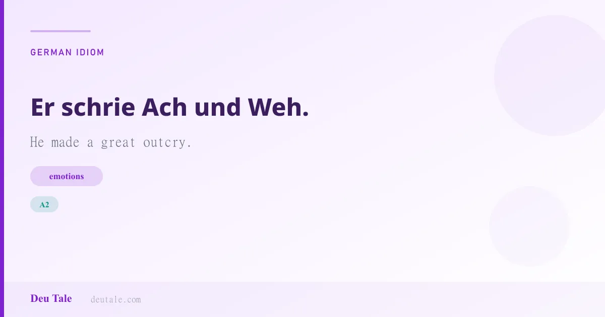 Er schrie Ach und Weh. — German idiom meaning: He made a great outcry. (A2)