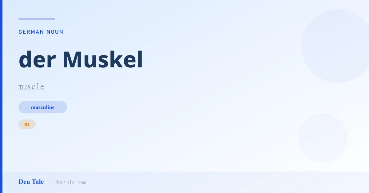 der Muskel — German masculine noun meaning muscle (B1)